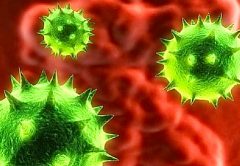 Los 10 virus y bacterias más mortales para la humanidad