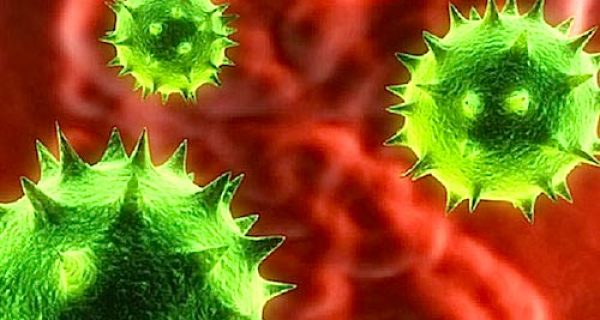Los 10 virus y bacterias más mortales para la humanidad