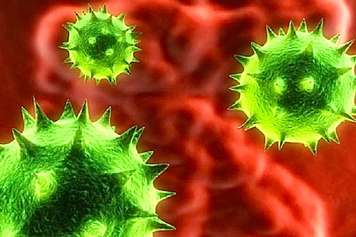 Los 10 virus y bacterias más mortales para la humanidad