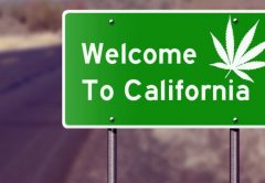 El mercado de cannabis más grande del mundo: California