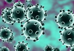 Las empresas farmacéuticas compiten por la vacuna contra el coronavirus