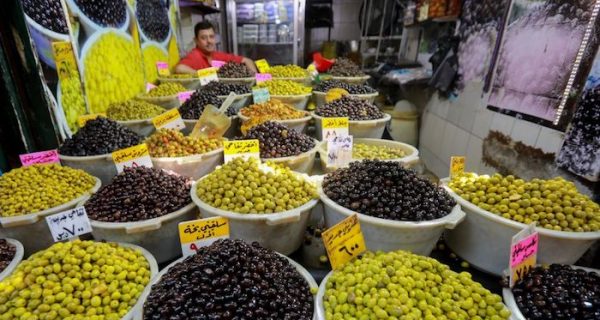 ¿Quién produce más aceitunas? Aquí están los 9 países líderes del mundo