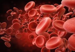 Nuestra longevidad está relacionada con los niveles de hierro en la sangre