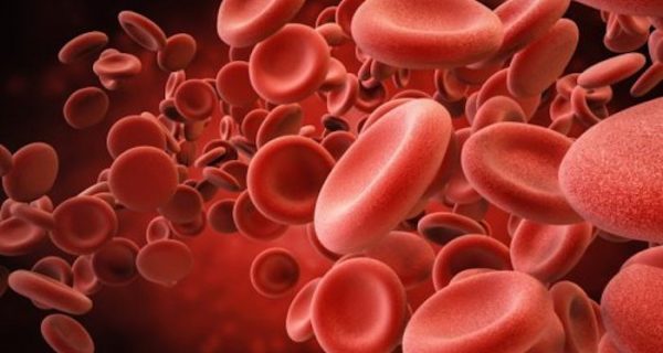 Nuestra longevidad está relacionada con los niveles de hierro en la sangre