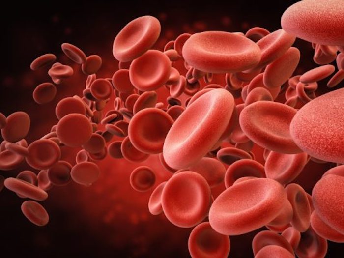 Nuestra longevidad está relacionada con los niveles de hierro en la sangre