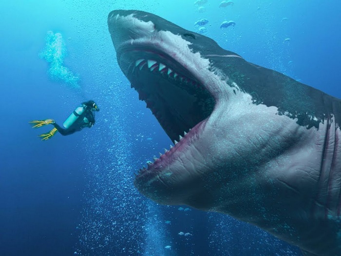 Las verdaderas dimensiones del Megalodon, el mega tiburón prehistórico
