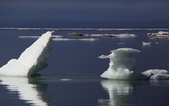 Malos presagios del Ártico. El calor está alterando el ecosistema
