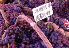 ¿Quién produce más uvas? Los 10 principales países productores