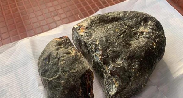 Ámbar gris: la caca de ballena que vale millones de dólares