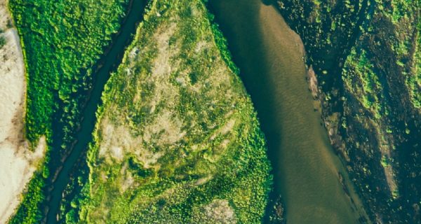 ¿Qué son las materias primas ambientales o Environmental Commodities?