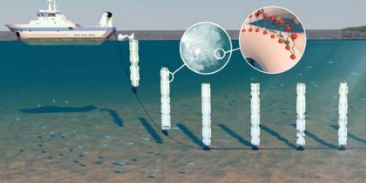 Extracción de uranio del agua de mar. Los científicos trabajan en ello...