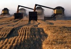 Rusia está ganando la guerra del trigo