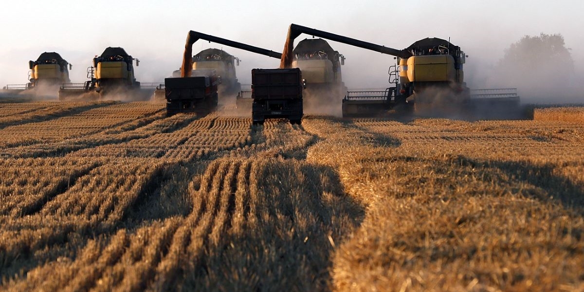 Rusia está ganando la guerra del trigo