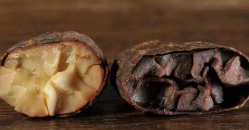 El chocolate más raro del mundo, nacido en Perú y hecho en Suiza