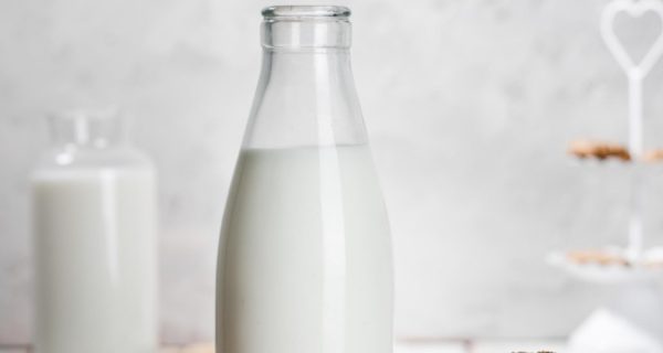 ¿La leche más cara del mundo? Ranking de las 10 más costosas