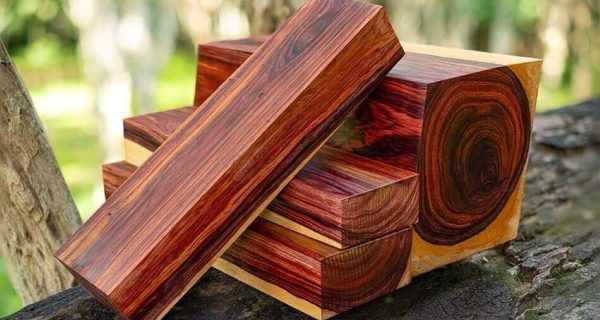 La madera más rara y cara del mundo