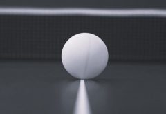Pelota de ping pong