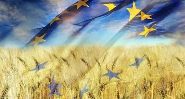 Trigo europeo