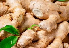 jengibre (ginger)