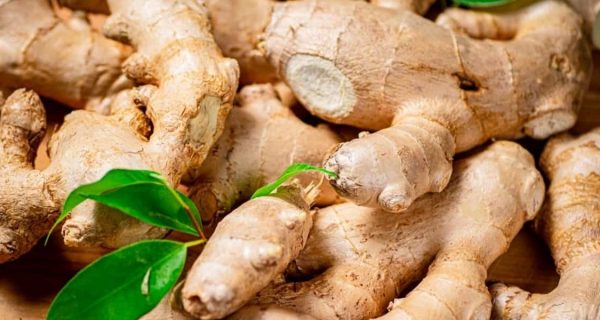jengibre (ginger)